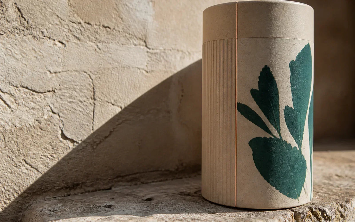 Paper canister with green botanical print, debossed ribs and copper detail on a limestone step