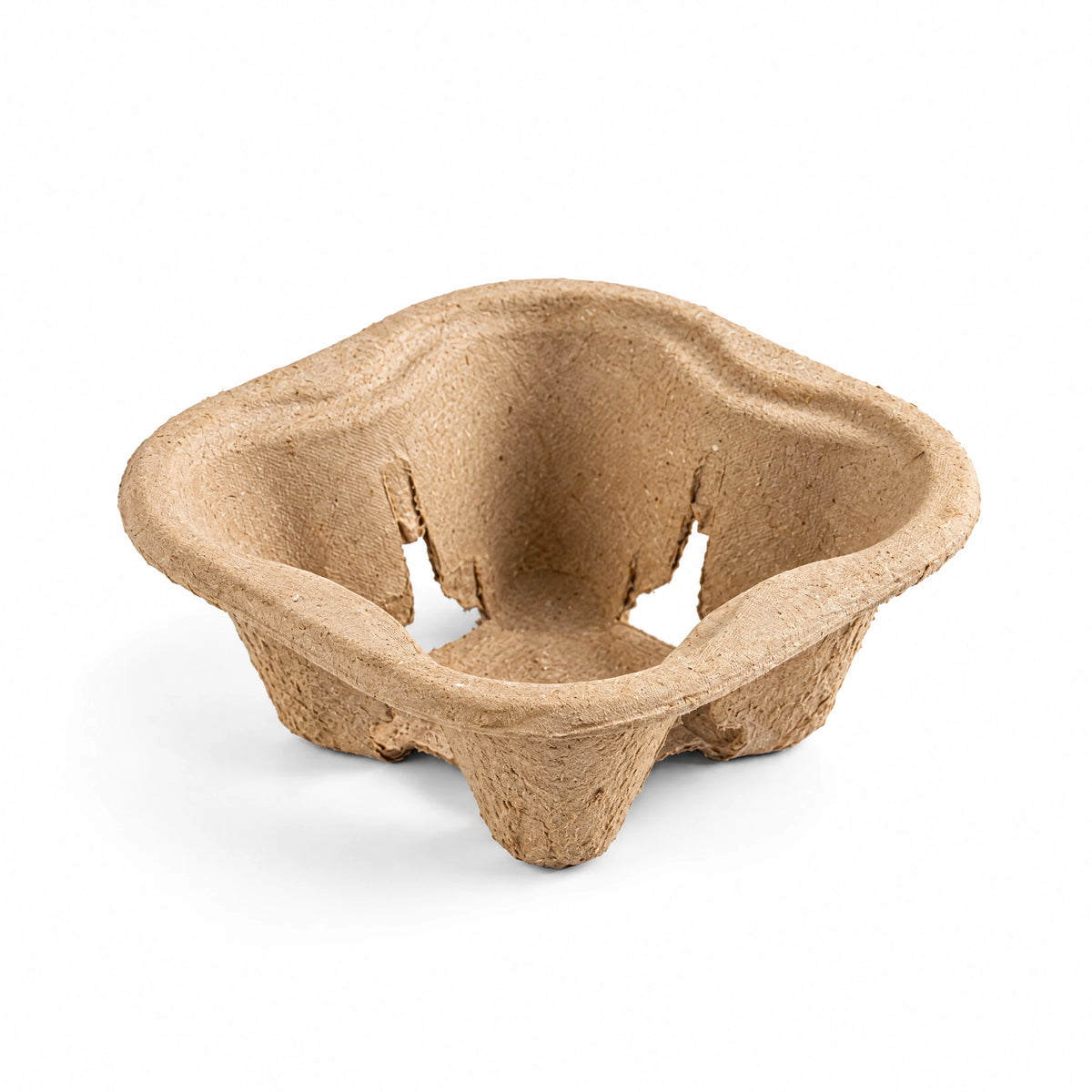 Molded pulp holder with one cup recess on a white background